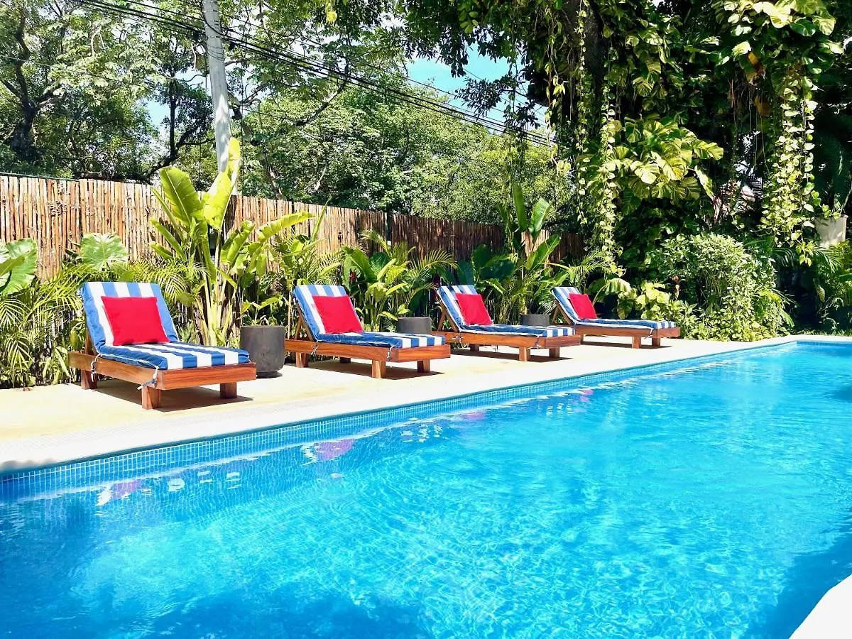 Beautiful Luxury Downtown Apartment Playa del Carmen